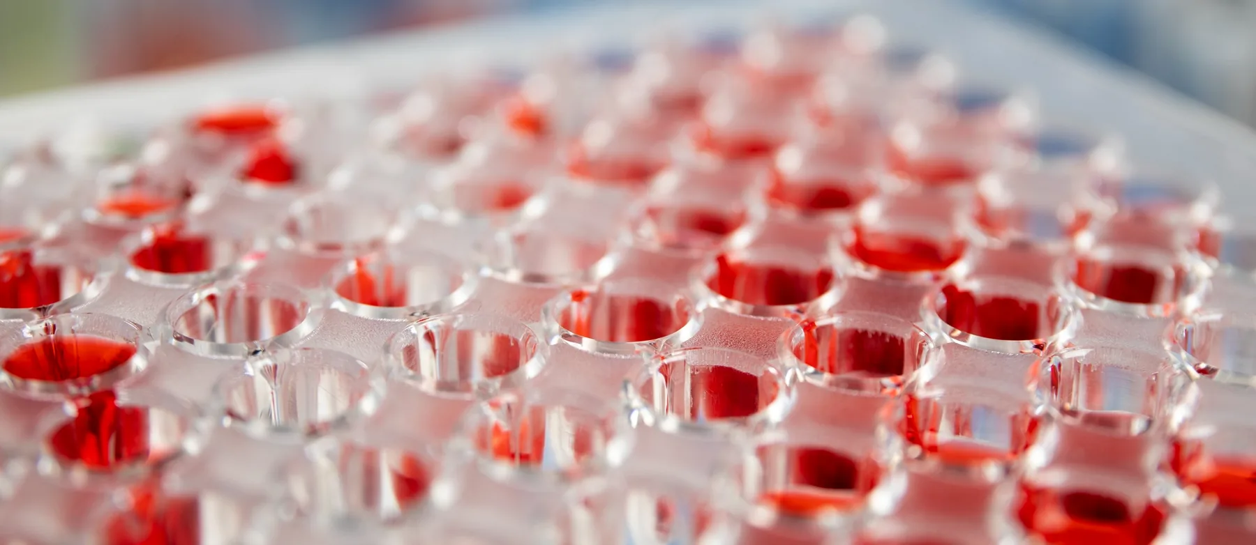 Complete analytical and stability testing in-house